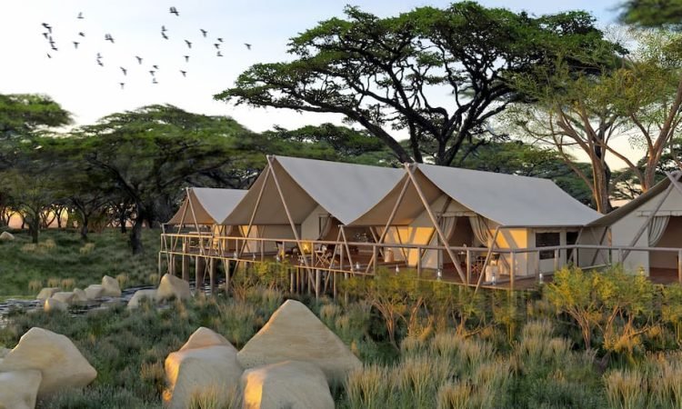 Amboseli Serena lodge